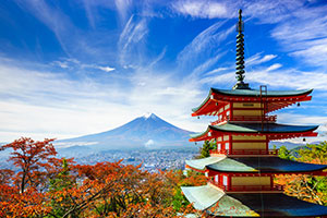 Kyoto/Yokohama (Tokyo)